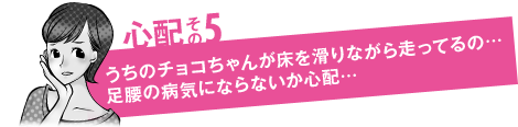 心配その5「うちのチョコちゃんが床を滑りながら走ってるの…足腰の病気にならないか心配…」